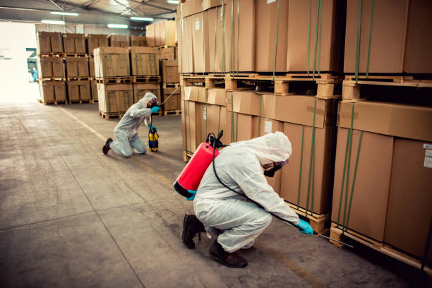  Mount Vernon, AL Pest Control Pros
