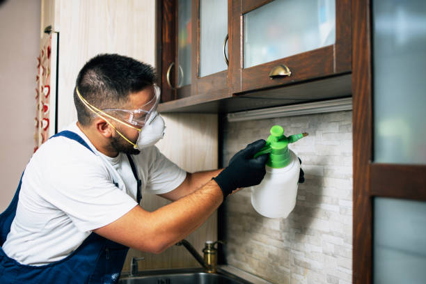 Best Pest Removal Services  in Mount Vernon, AL