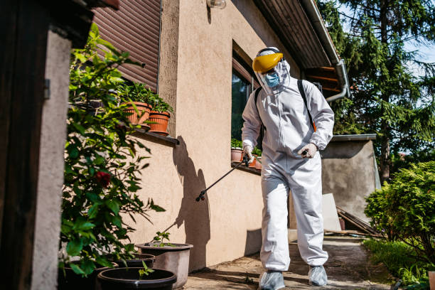 Professional Pest Control in Mount Vernon, AL