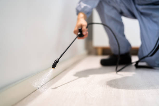 Best Pest Control for Businesses  in Mount Vernon, AL