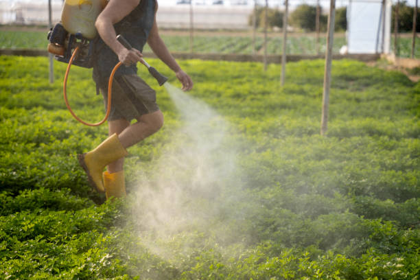 Best Best Pest Control Companies  in Mount Vernon, AL