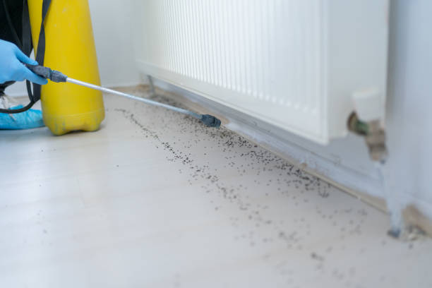 Best Mosquito Control Services  in Mount Vernon, AL