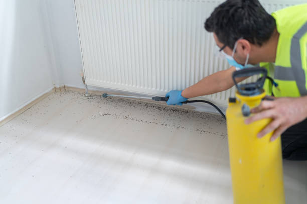 Best Affordable Pest Control Services  in Mount Vernon, AL