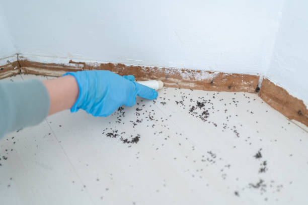 Best Emergency Pest Control  in Mount Vernon, AL