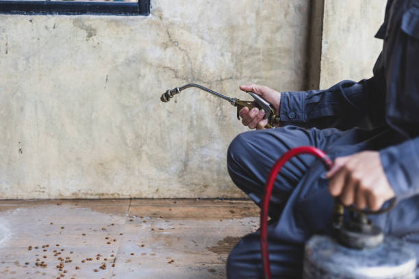 Best Residential Pest Control  in Mount Vernon, AL